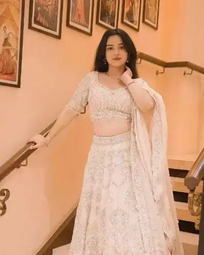 Escort Service In Meerut